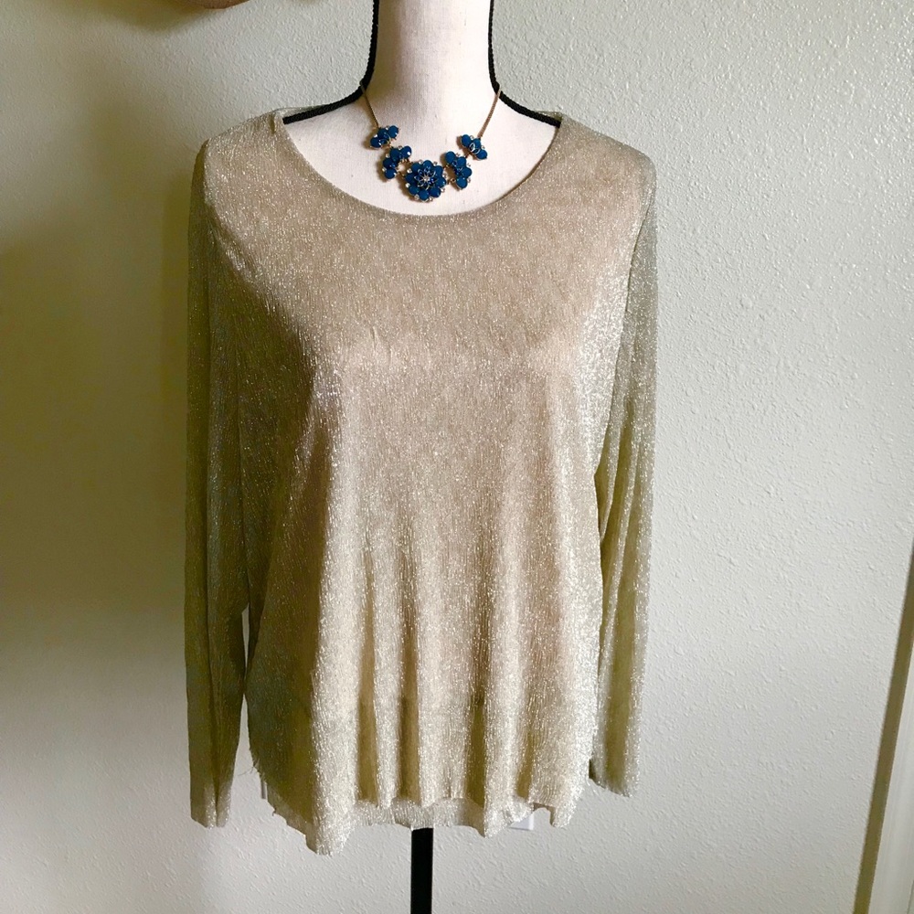 Chico’s Long Sleeve Gold Sparkly Top.